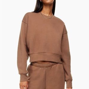 ARITZIA TNA COZY FLEECE BOYFRIEND BOXY CROPPED CREWNECK SIZE XS TEDDY BEAR BROWN